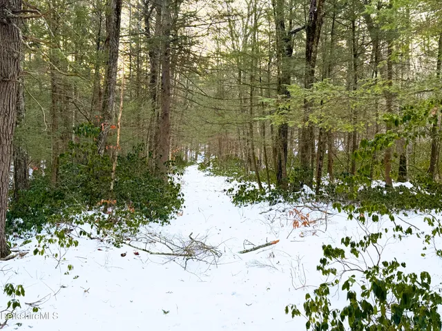 a view of a bunch of flowers in a garden