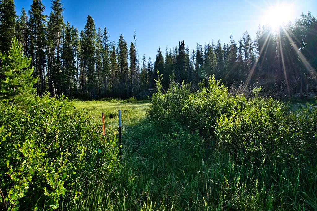 Tbd Tbd Secesh River Road, Unit 52 McCall, ID 83638 - Photo 14 of 18