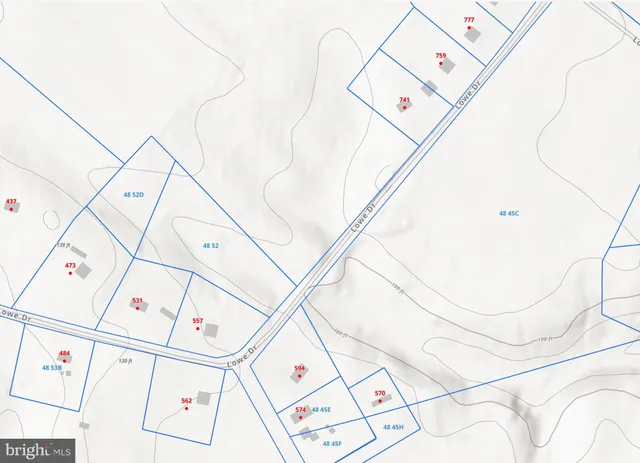 a view of a forest with trees in the background