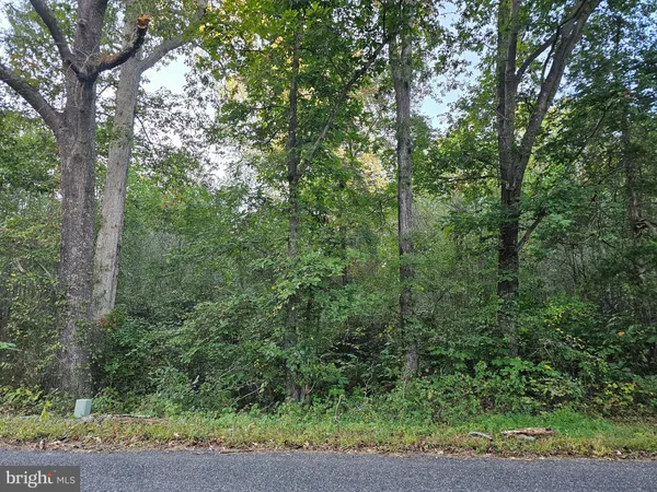 $18,000 | Lot 52 Lowe Drive, Hague, VA 22469
