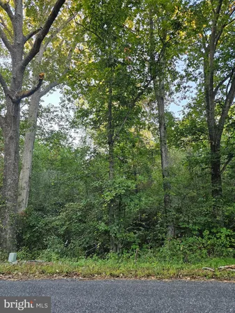 $18,000 | Lot 52 Lowe Drive, Hague, VA 22469