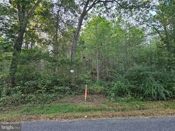 $18,000 | Lot 52 Lowe Drive, Hague, VA 22469