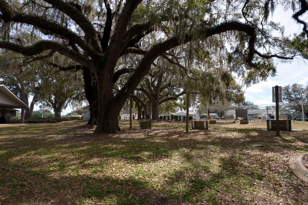 6472 Southwest 106th Place Ocala, FL 34476 - Photo 37 of 40