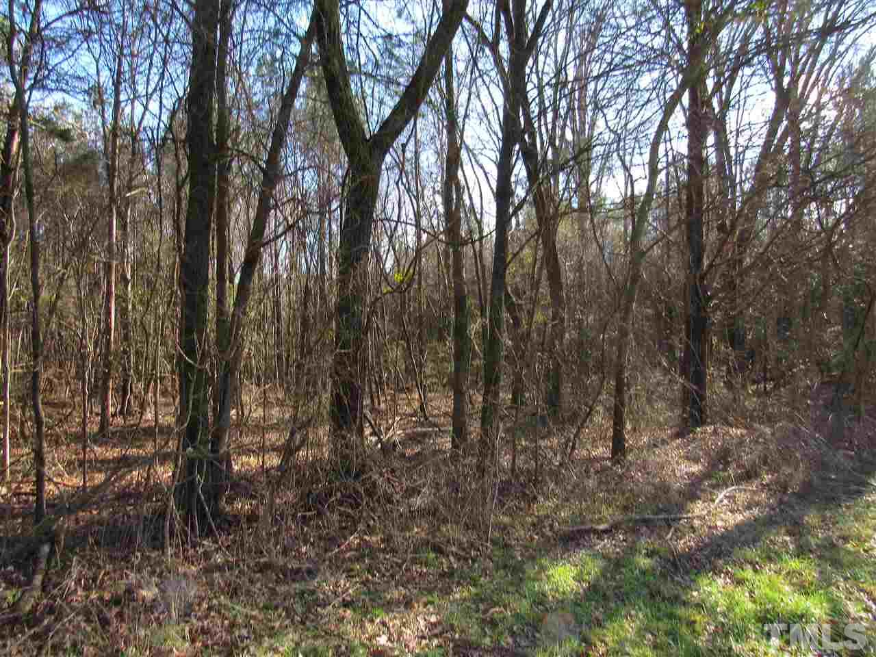 Tbd Airport Road Siler City, NC 27344 - Photo 1 of 11 Gallery Image 1