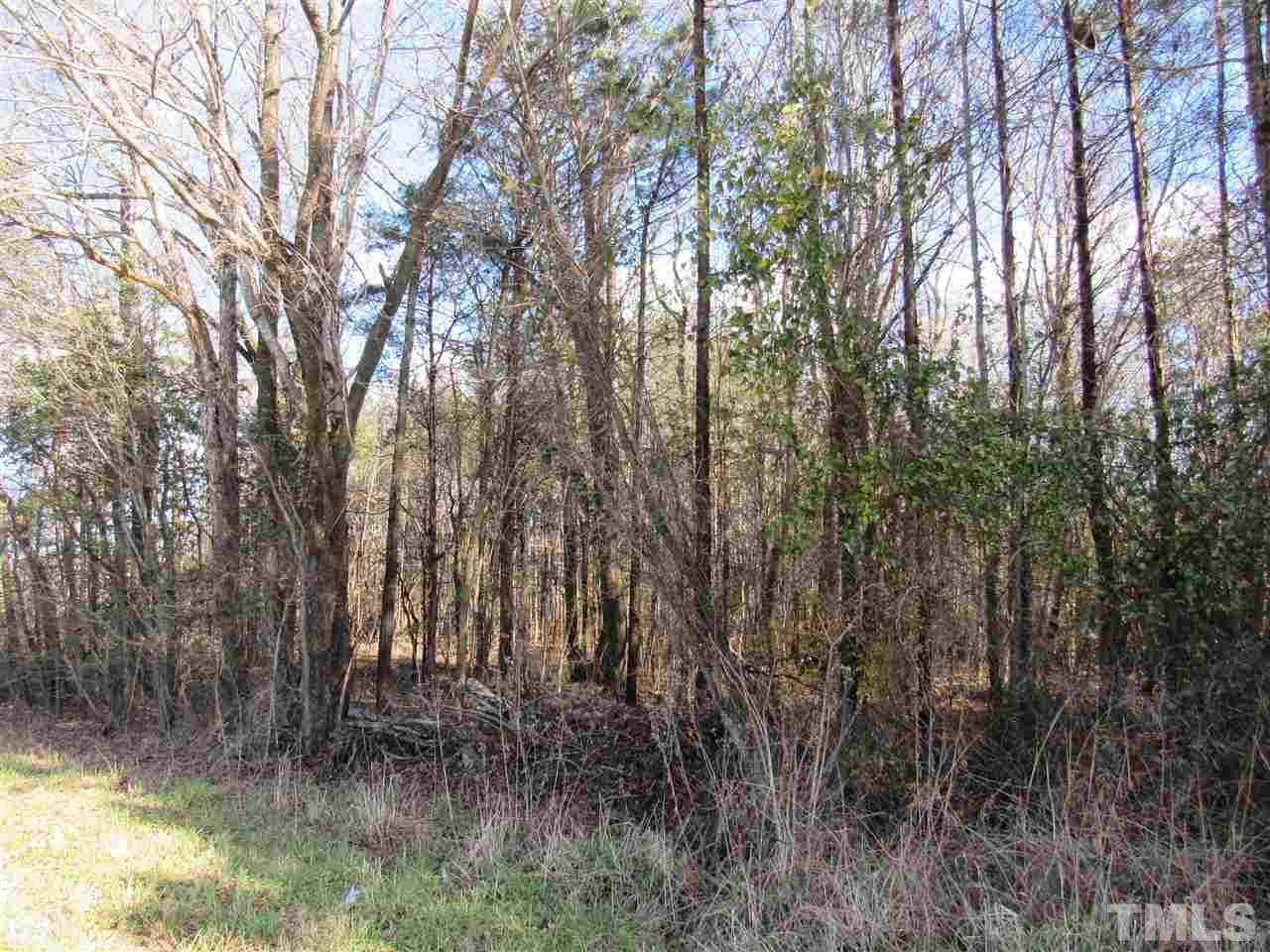 Tbd Airport Road Siler City, NC 27344 - Photo 2 of 11 Gallery Image 2