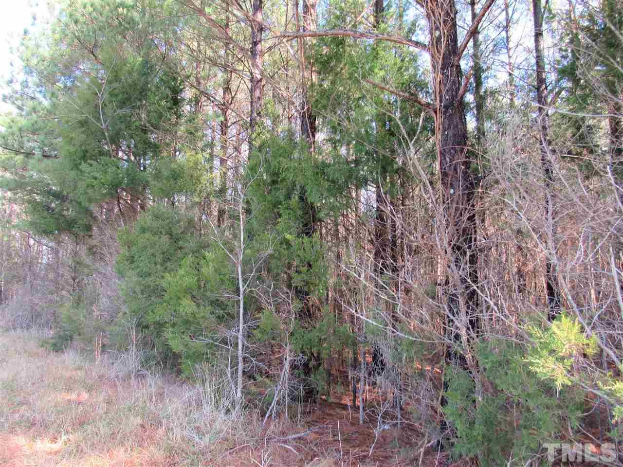 Tbd Airport Road Siler City, NC 27344 - Photo 5 of 11 Gallery Image 5