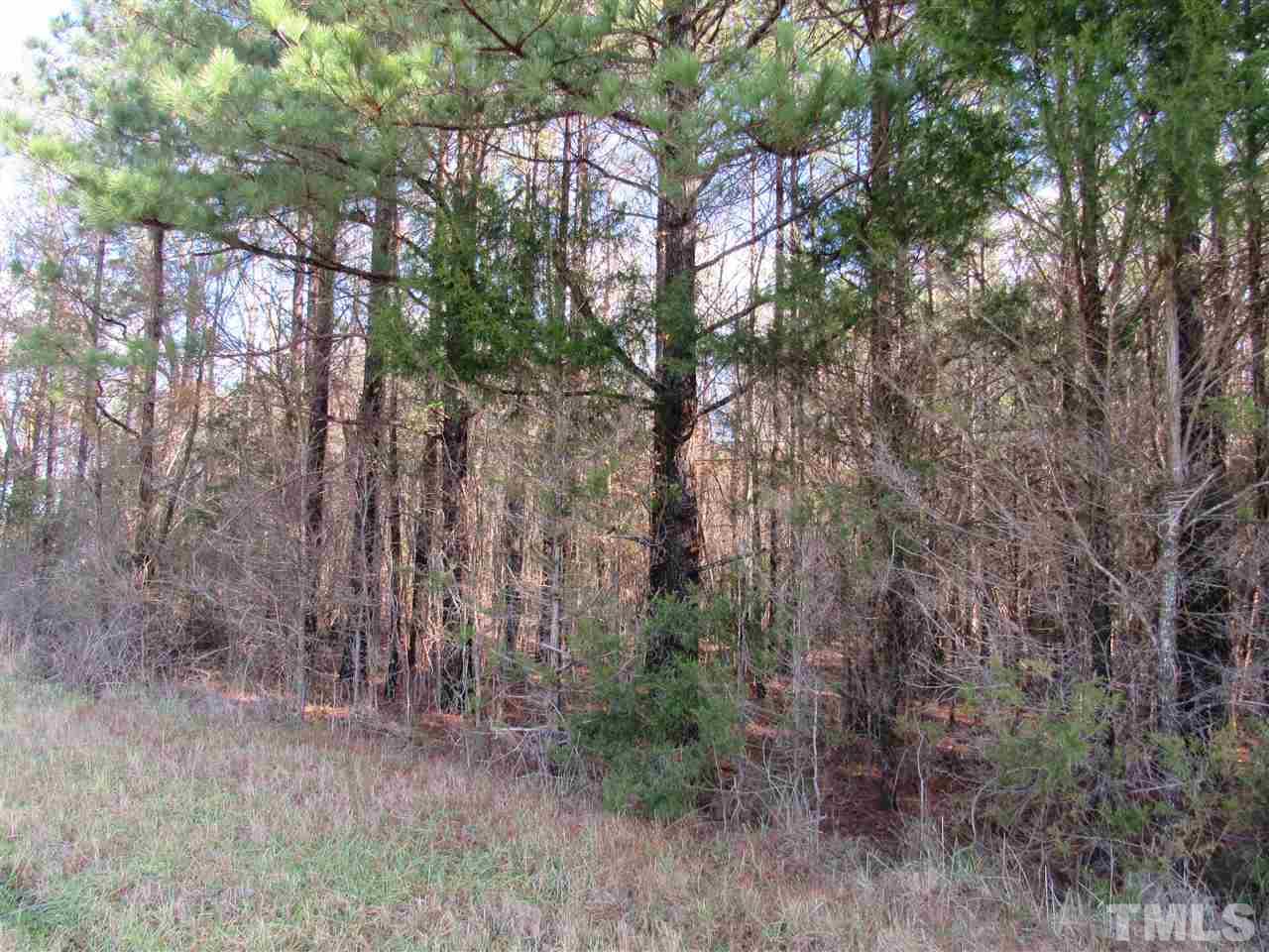 Tbd Airport Road Siler City, NC 27344 - Photo 6 of 11 Gallery Image 6
