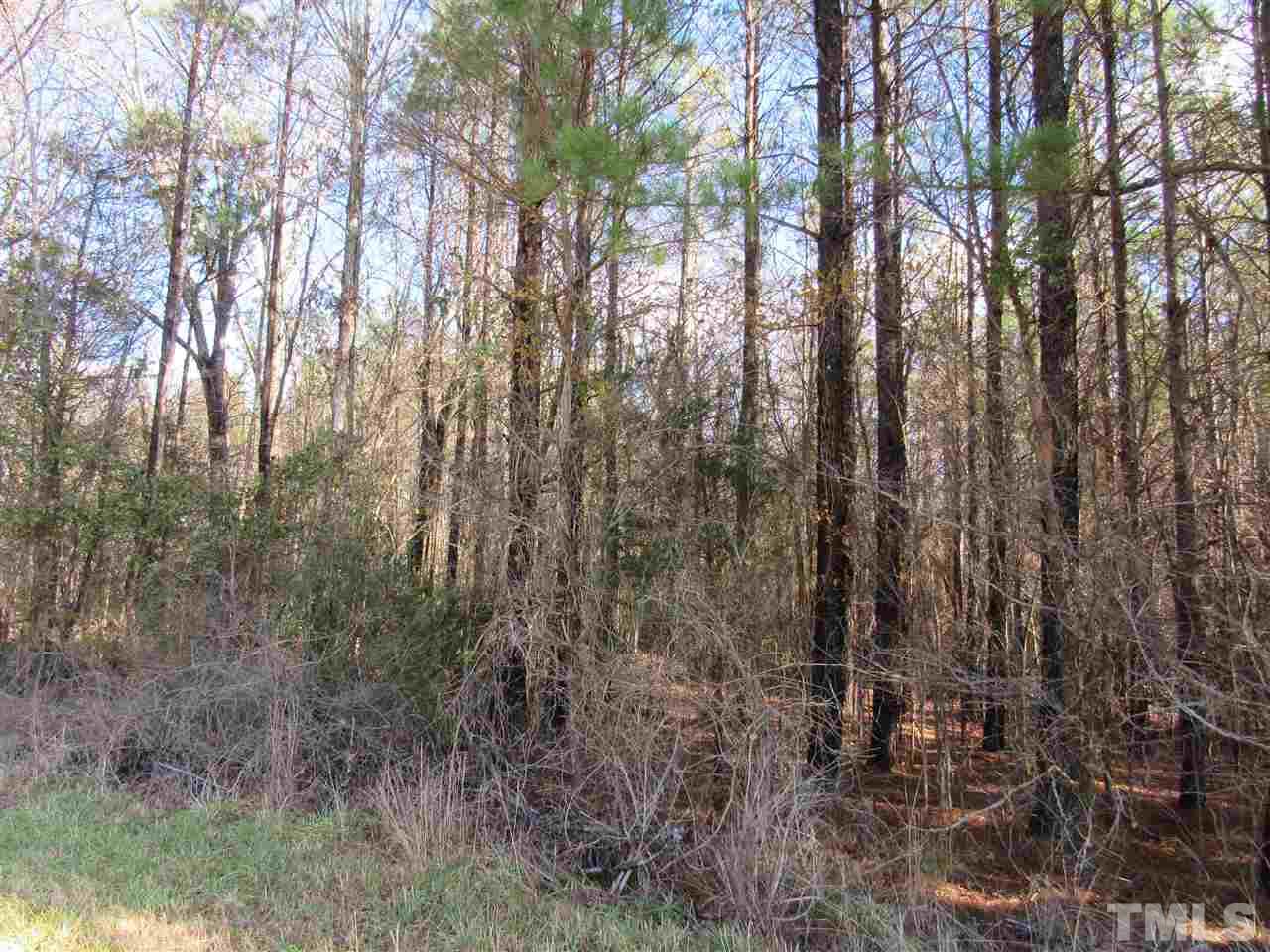 Tbd Airport Road Siler City, NC 27344 - Photo 7 of 11 Gallery Image 7