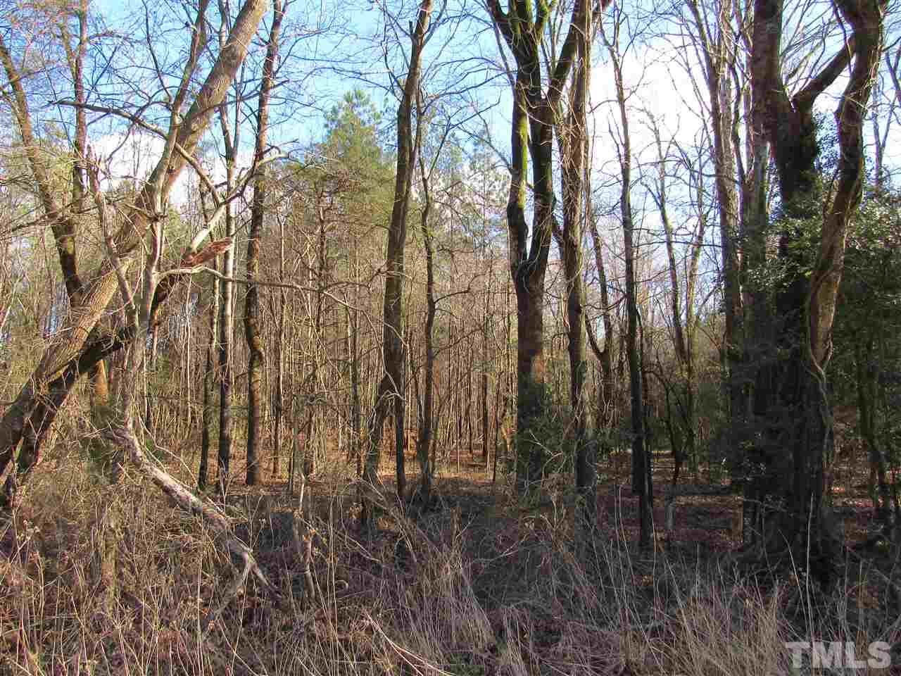 Tbd Airport Road Siler City, NC 27344 - Photo 8 of 11 Gallery Image 8