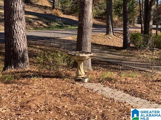 9376 Old Toadvine Road Bessemer, AL 35023 - Photo 6 of 45