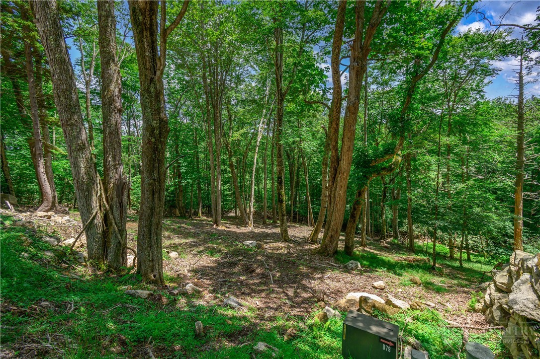 108 Windridge Road Beech Mountain, NC 28604 - Photo 37 of 49