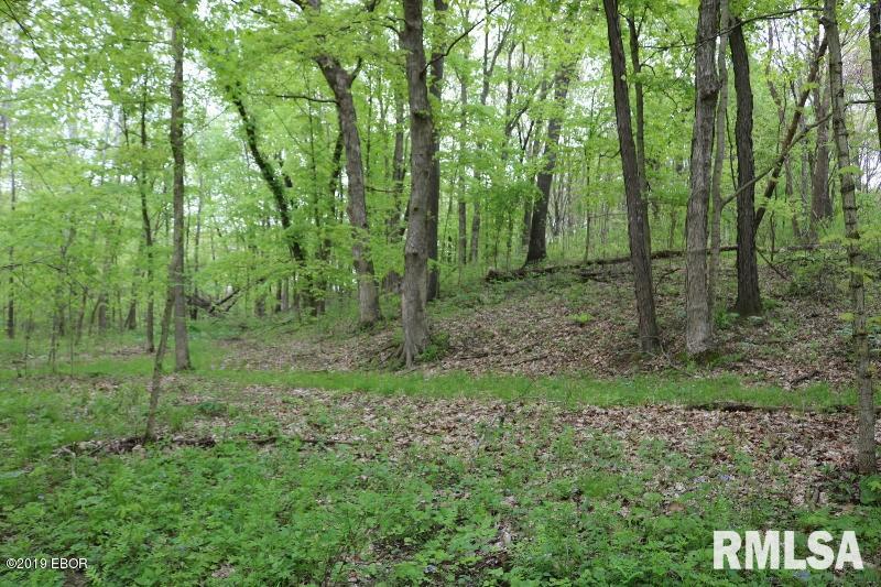9064 Allen Road Iuka, IL 62849 - Photo 12 of 13