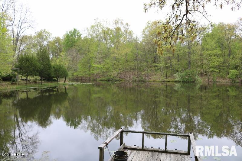 9064 Allen Road Iuka, IL 62849 - Photo 3 of 13