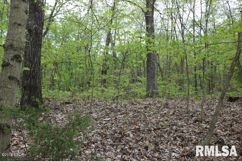 9064 Allen Road Iuka, IL 62849 - Photo 4 of 13
