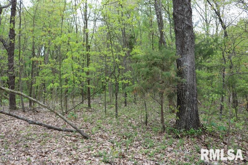 9064 Allen Road Iuka, IL 62849 - Photo 6 of 13