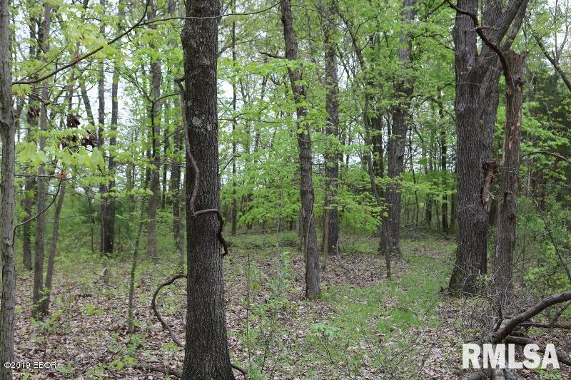 9064 Allen Road Iuka, IL 62849 - Photo 7 of 13