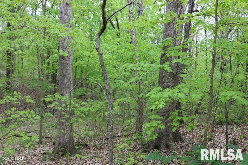 9064 Allen Road Iuka, IL 62849 - Photo 8 of 13