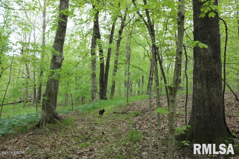 9064 Allen Road Iuka, IL 62849 - Photo 9 of 13