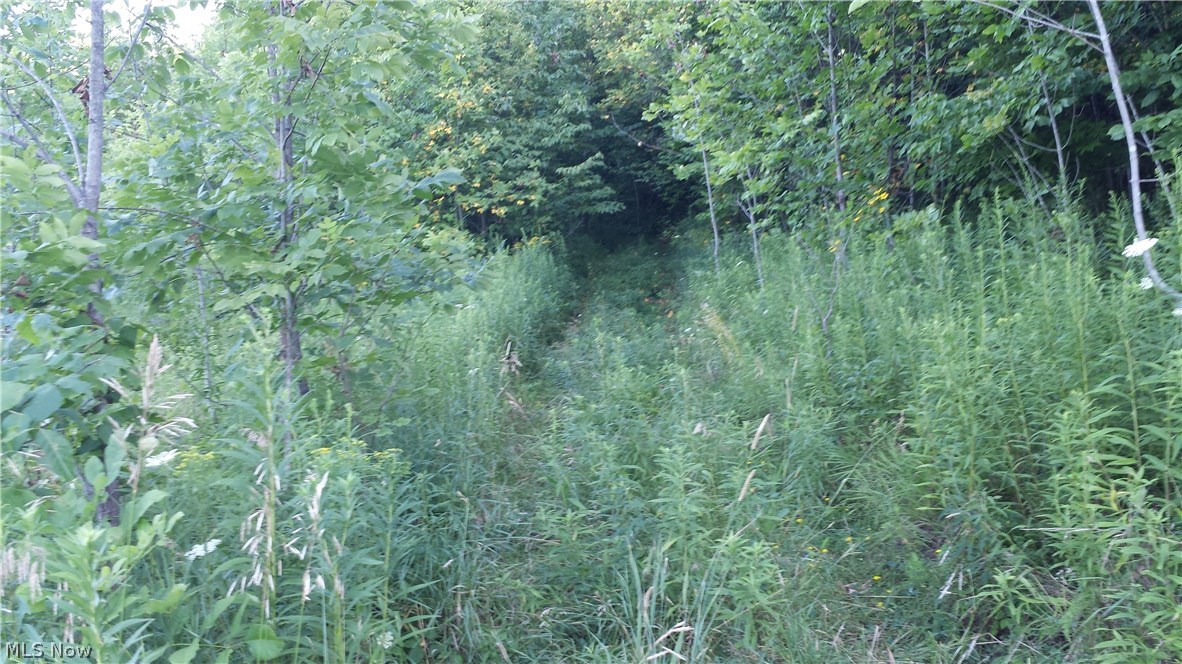 Robinhood Road Southeast Dennison, OH 44621 - Photo 6 of 6