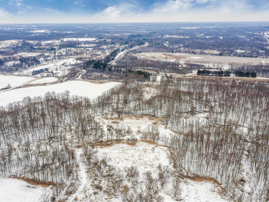 18290 Lehman Road Manchester, MI 48158 - Photo 19 of 21