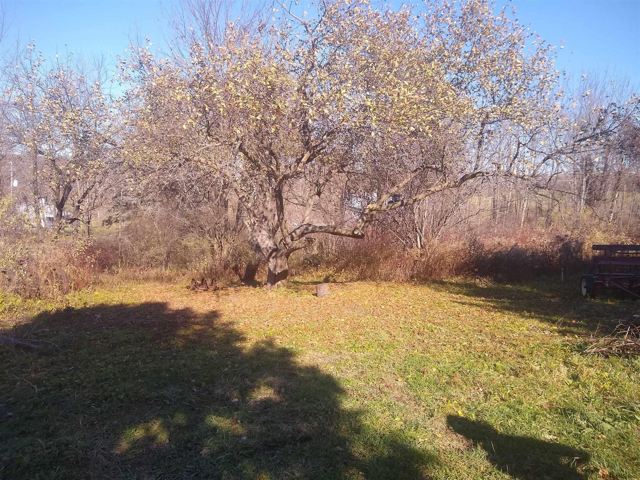 446 Crommie Road Cobleskill, NY 12043 - Photo 23 of 28 Photo 23