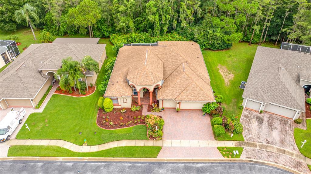 11421 Strathaven Court Trinity, FL 34655 - Photo 74 of 91 Gallery Image 74
