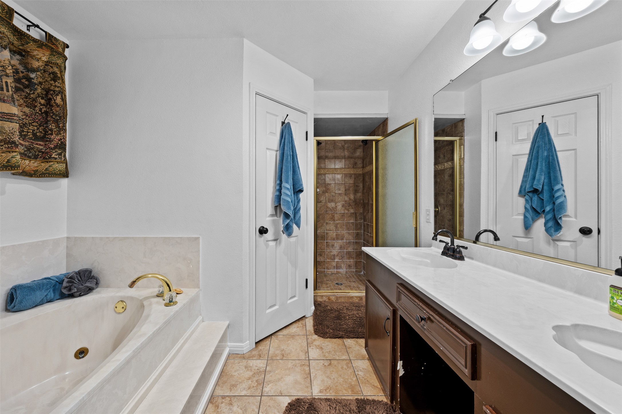 1512 Panther Loop Pflugerville, TX 78660 - Photo 17 of 40 Indulge in a primary bathroom featuring a jetted soaking tub, double vanity, and separate shower for a spa-like retreat.