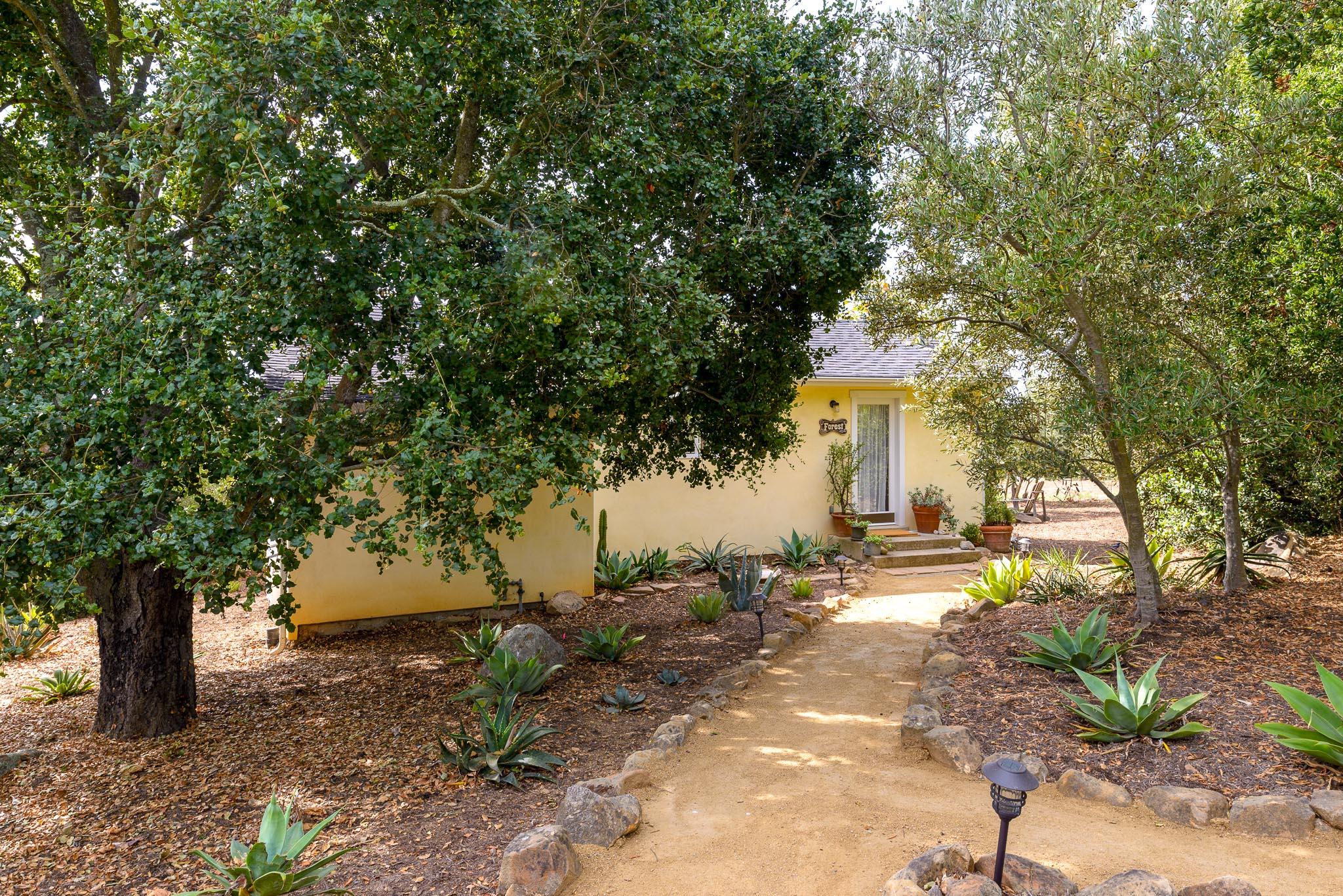 1645 Las Canoas Road Santa Barbara, CA 93105 - Photo 21 of 30 a view of a yard with plants and trees