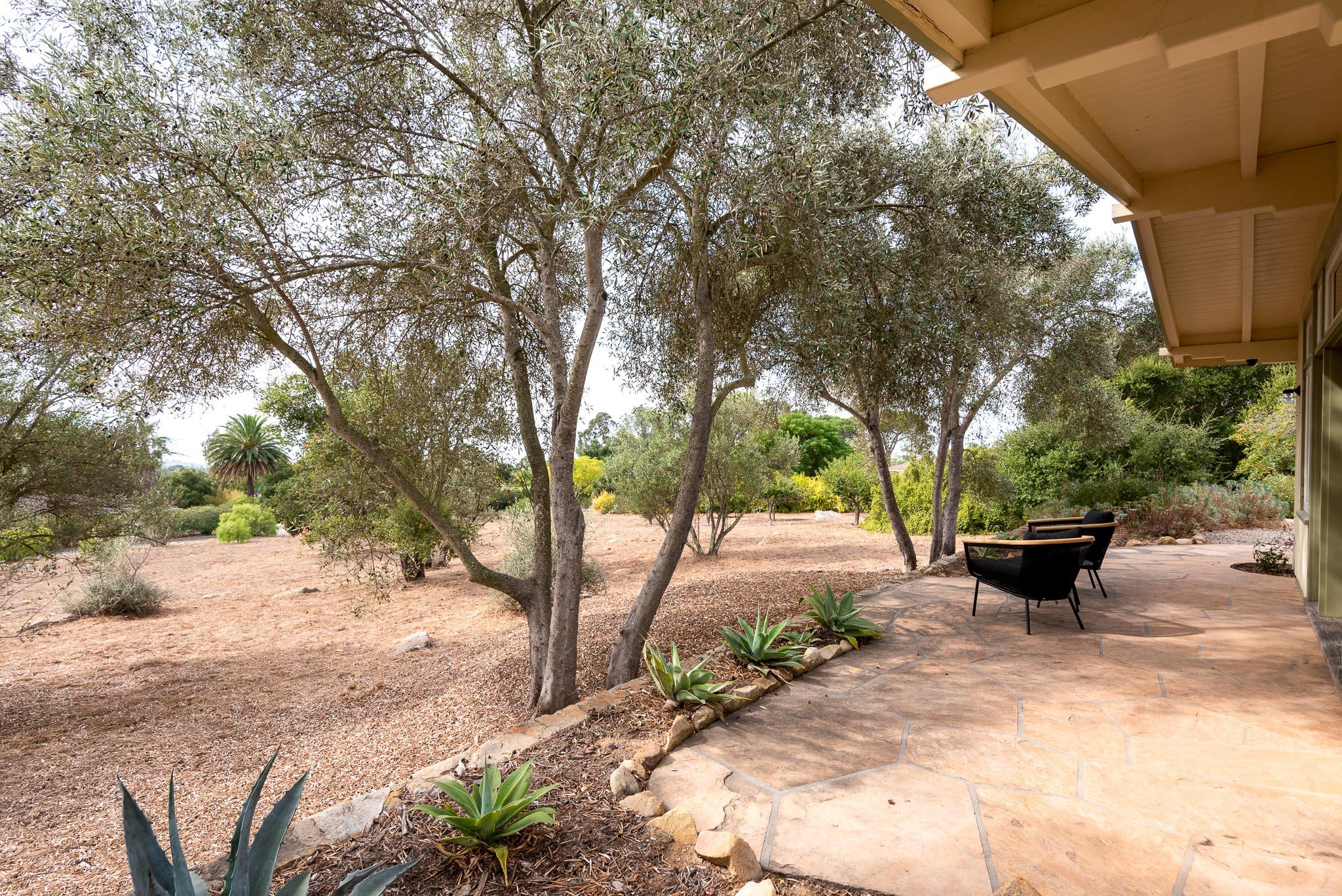 1645 Las Canoas Road Santa Barbara, CA 93105 - Photo 26 of 30 a view of a backyard with large tree