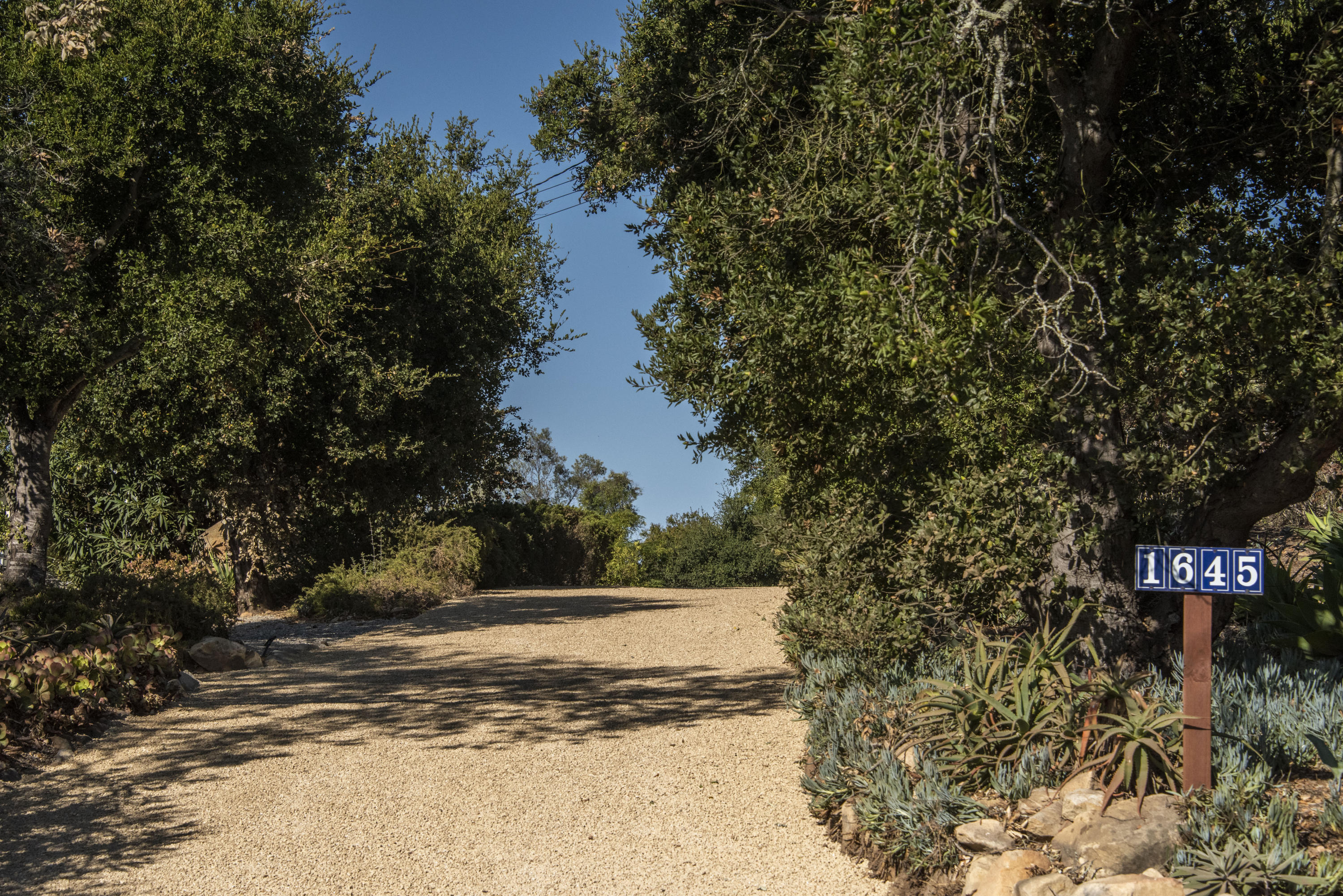 1645 Las Canoas Road Santa Barbara, CA 93105 - Photo 27 of 30 a view of a yard with plants and trees
