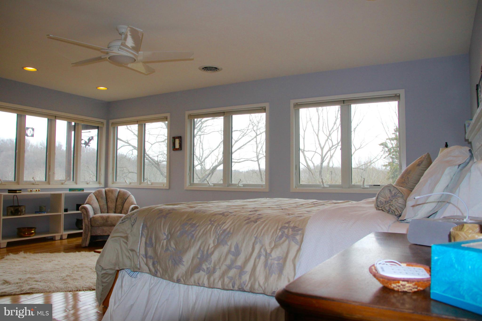 610 Steamboat Run Road Shepherdstown, WV 25443 - Photo 24 of 30 Bedroom (Master)