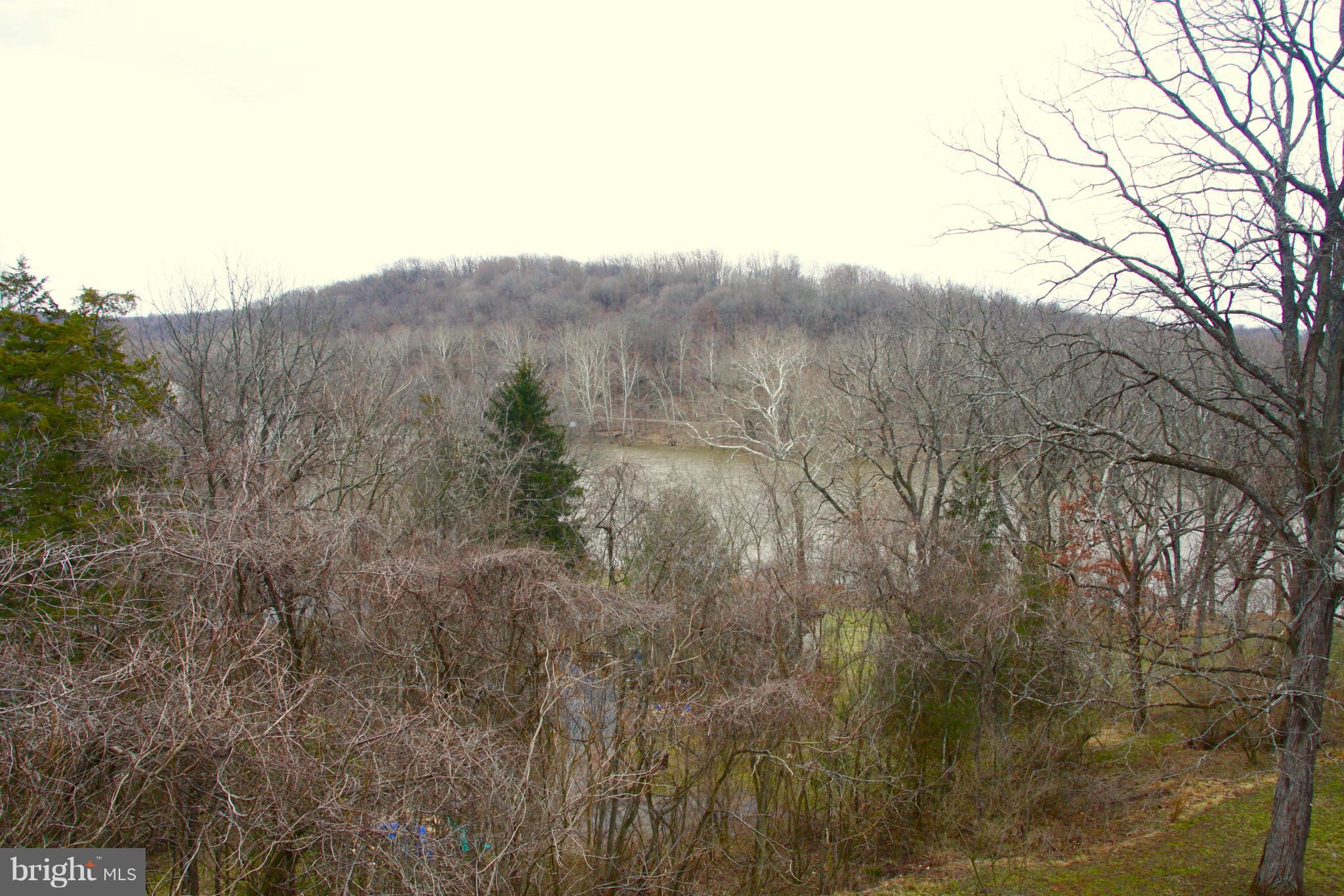 610 Steamboat Run Road Shepherdstown, WV 25443 - Photo 26 of 30 View