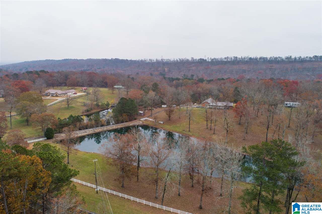 6261 Rock Mountain Lake Road McCalla, AL 35111 - Photo 49 of 50