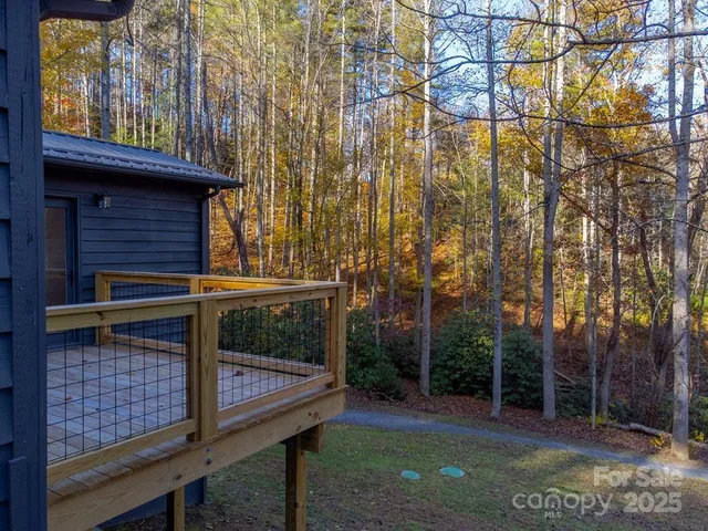 a view of a backyard with large trees