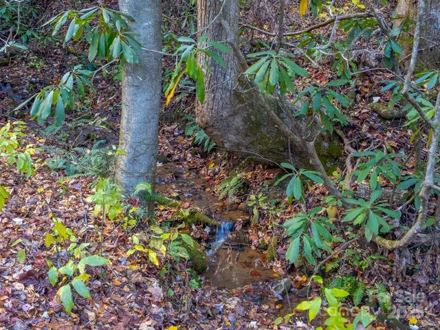 a view of a yard with a tree in a yard