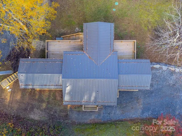 a view of a yard with plants