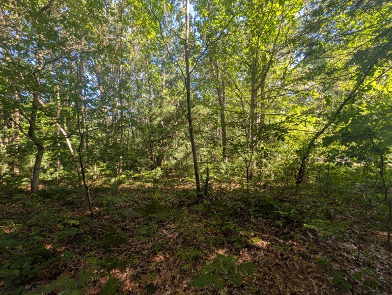 2325 Judson Road Spring Lake, MI 49456 - Photo 45 of 46 image000004 (10)