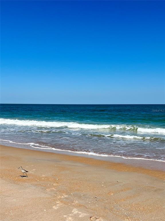 323 North 10th Street Flagler Beach, FL 32136 - Photo 45 of 45 a view of an ocean