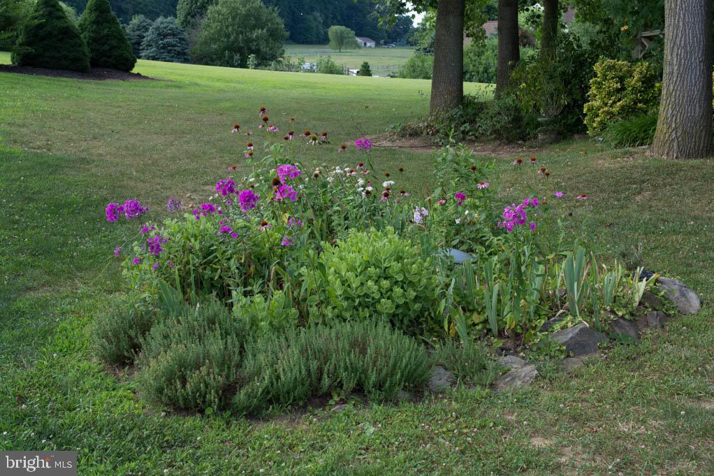 150 Honeysuckle Road Nottingham, PA 19362 - Photo 42 of 47