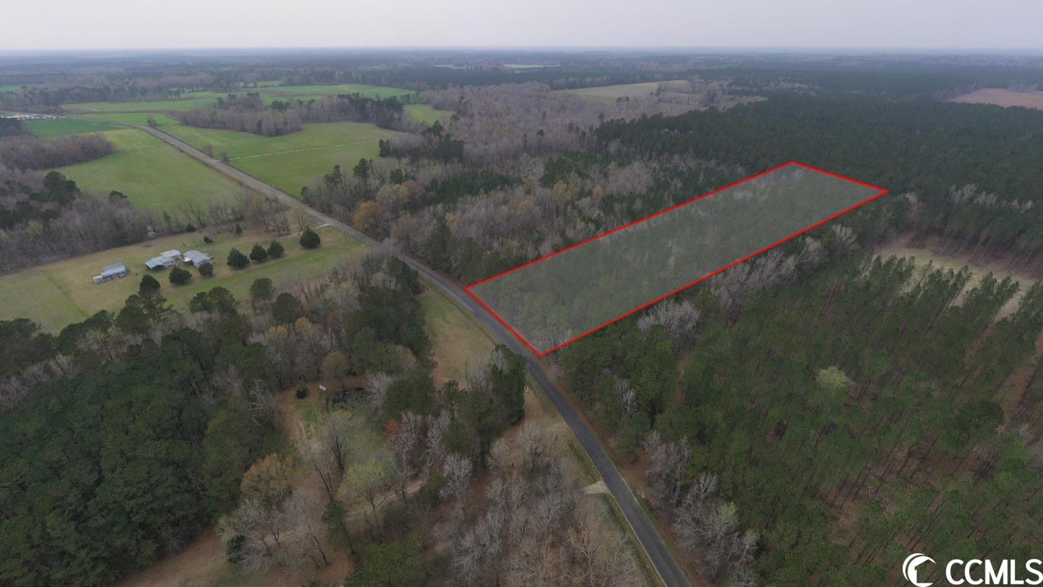 Tbt Spamm Road Greeleyville, SC 29056 - Photo 1 of 16 Gallery Image 1
