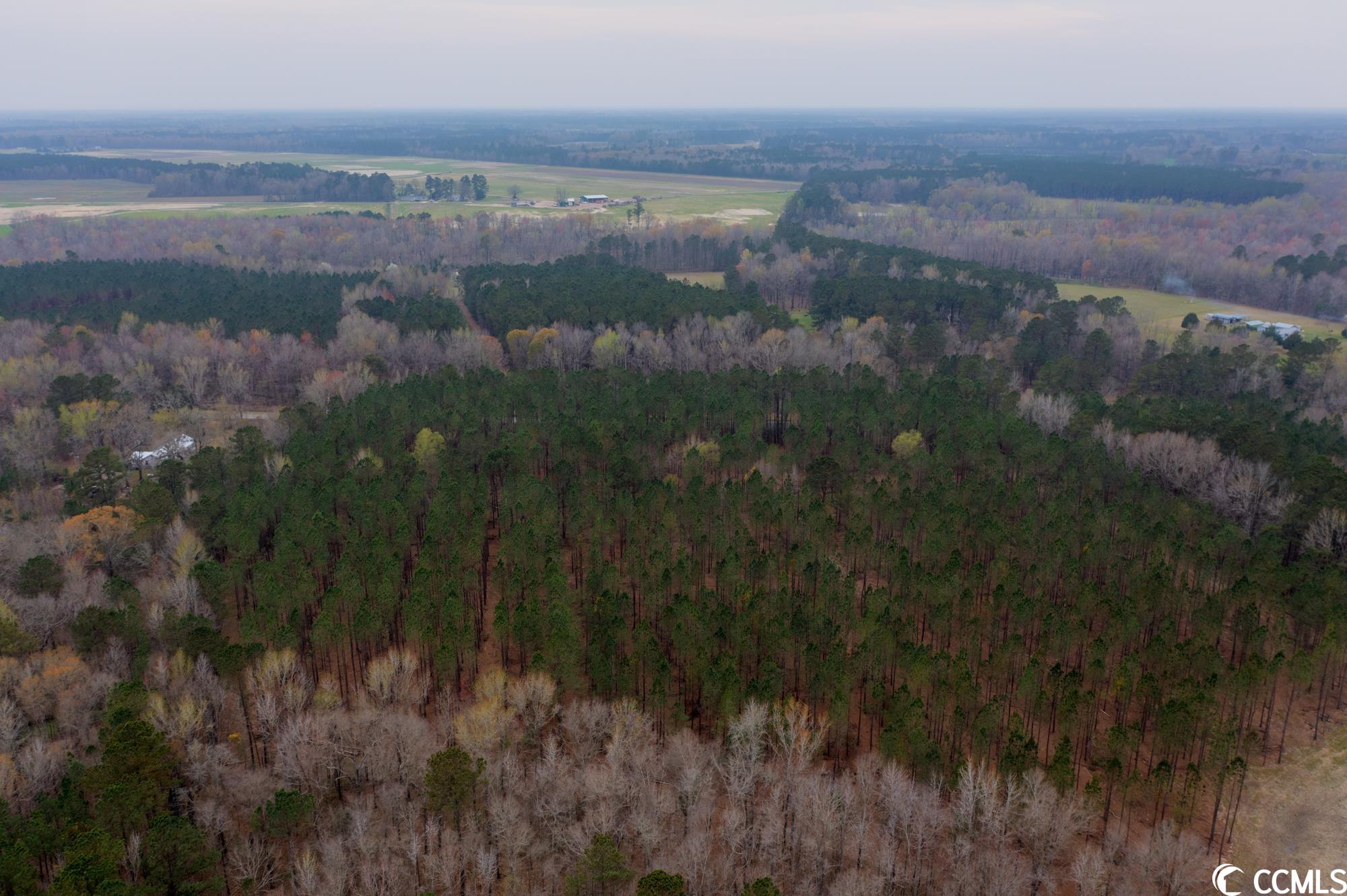 Tbt Spamm Road Greeleyville, SC 29056 - Photo 11 of 16 Gallery Image 11