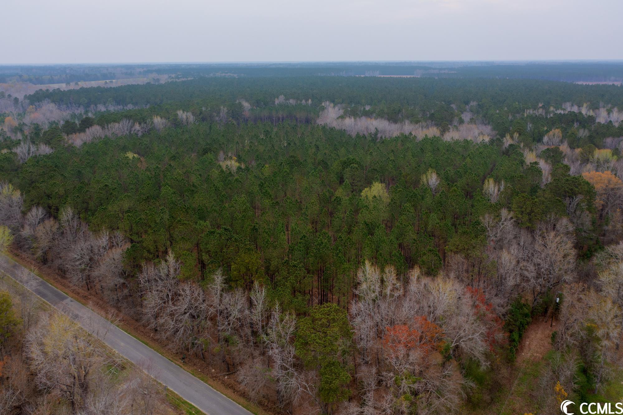Tbt Spamm Road Greeleyville, SC 29056 - Photo 15 of 16 Gallery Image 15