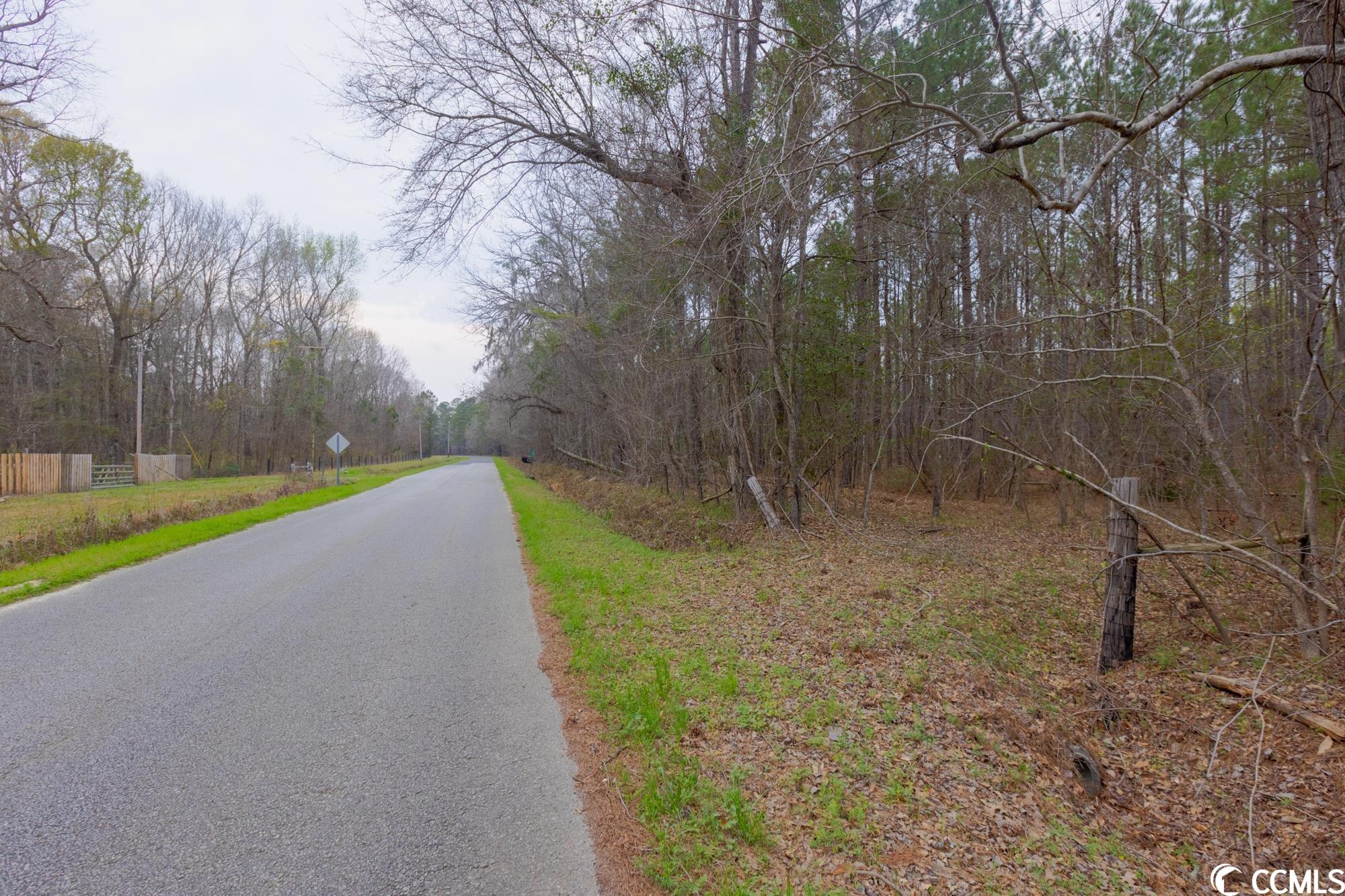 Tbt Spamm Road Greeleyville, SC 29056 - Photo 4 of 16 Gallery Image 4
