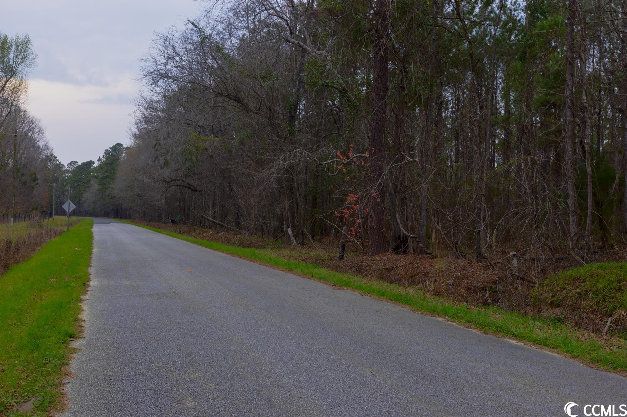 Tbt Spamm Road Greeleyville, SC 29056 - Photo 8 of 16 Gallery Image 8