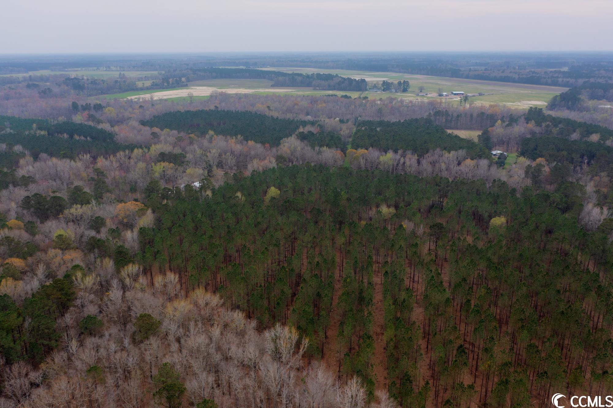 Tbt Spamm Road Greeleyville, SC 29056 - Photo 10 of 16 Gallery Image 10