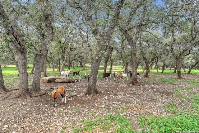 $1,575,000 | 11650 Sunset Ranch, Helotes, TX 78023