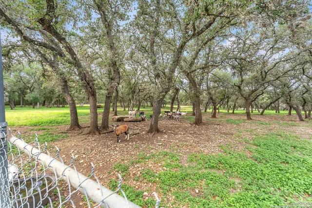 $1,575,000 | 11650 Sunset Ranch, Helotes, TX 78023