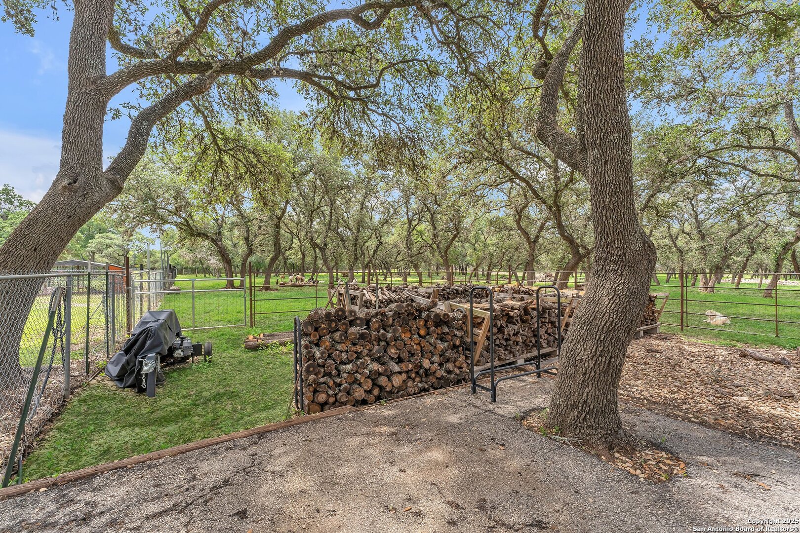 11650 Sunset Ranch Helotes, TX 78023 - Photo 92 of 141 a view of a yard with a tree