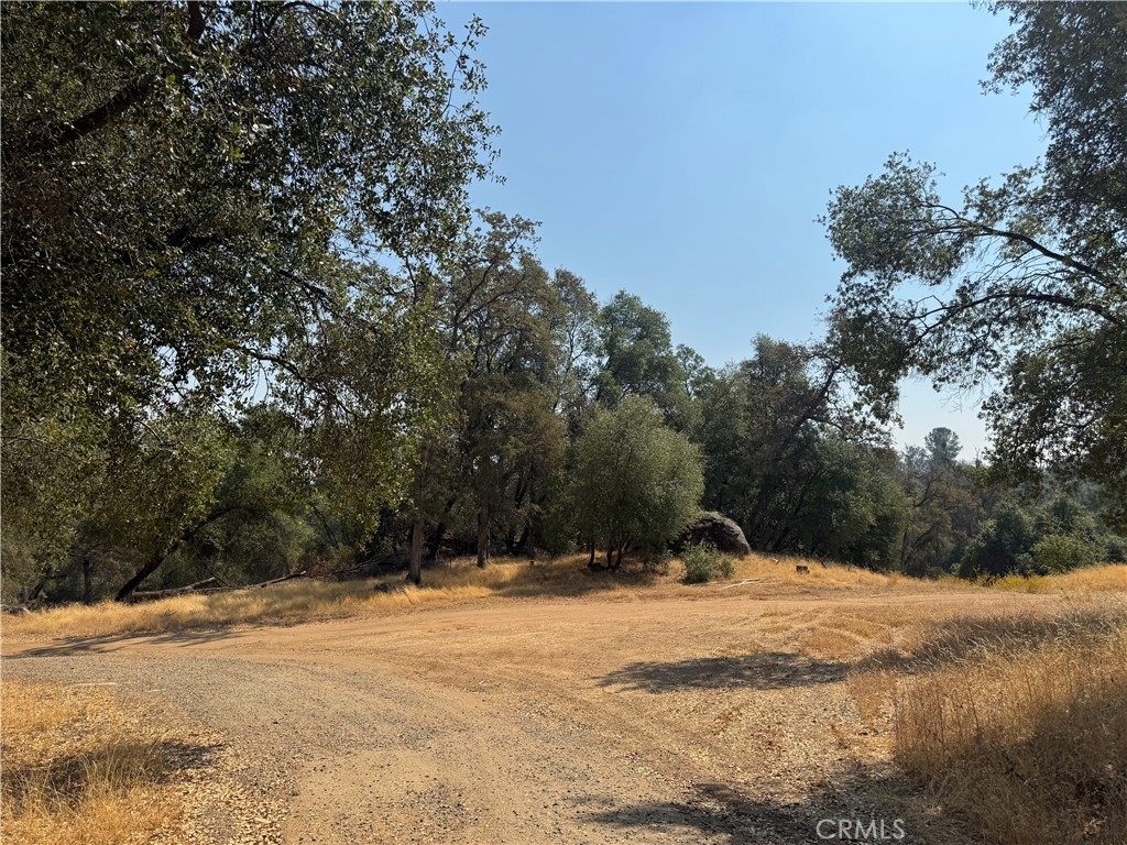 5393 Schafer Road Mariposa, CA 95338 - Photo 17 of 19