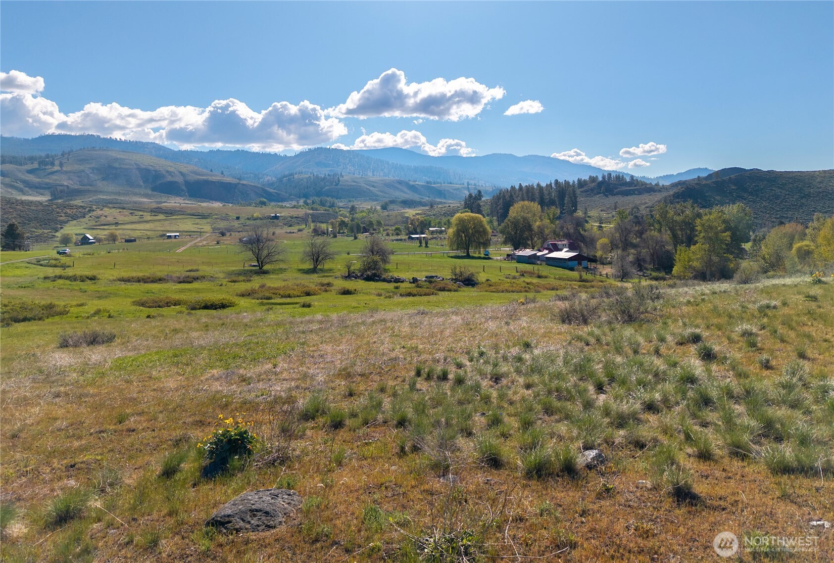 265 East Chewuch Road Winthrop, WA 98862 - Photo 6 of 28 Gallery Image 6